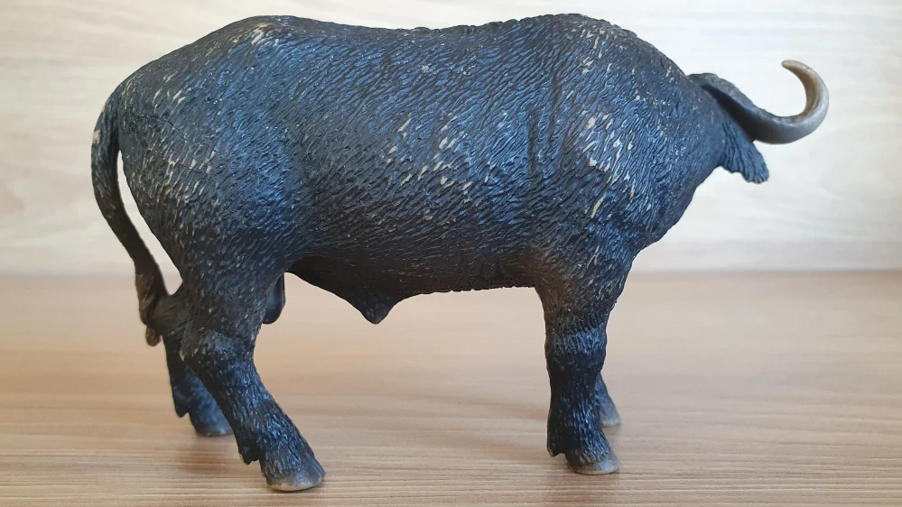 buvol 14640, model 2010