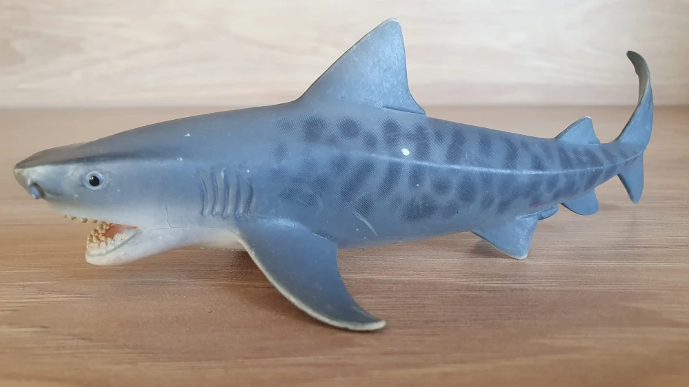 žralok tygří 14765, model 2015