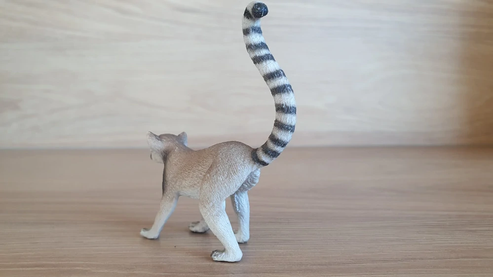 lemur  14827, model 2018