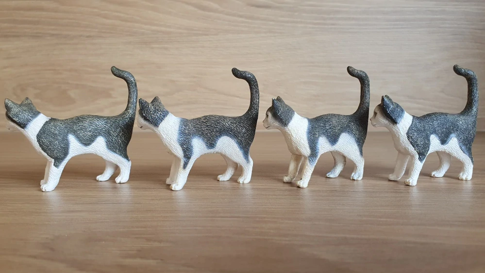 kočka  13638, model 2008