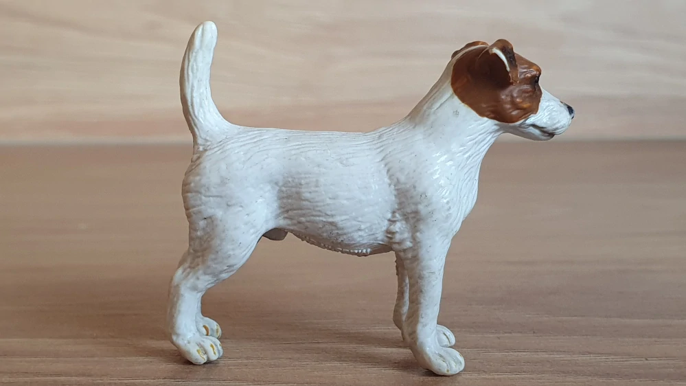 jack russel teriér  16331, model 2002