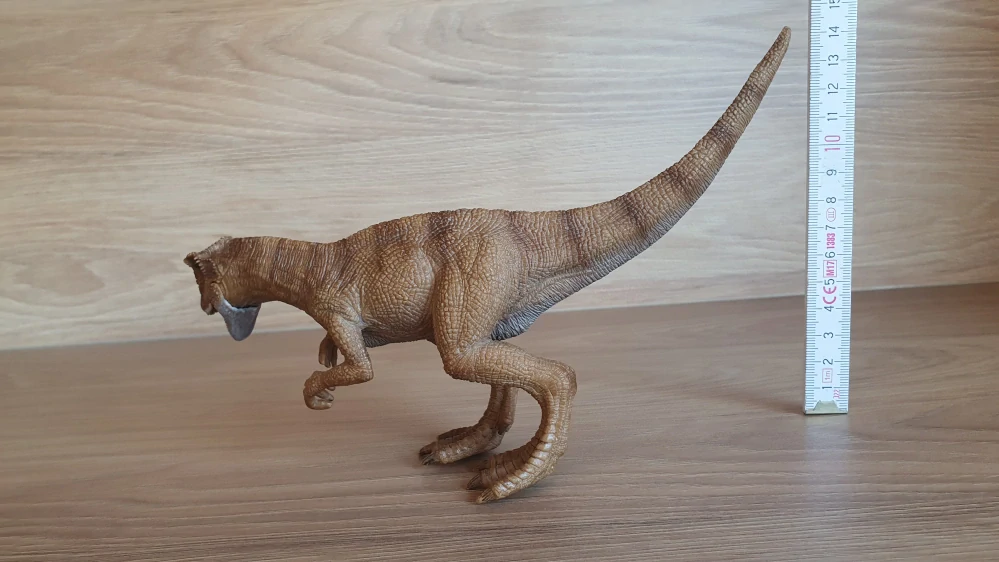 Allosaurus  14513, model 2011