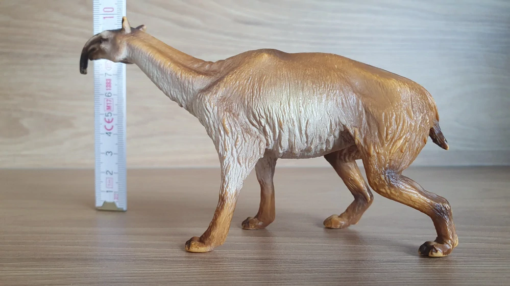 Macrauchenia 16519, model 2002