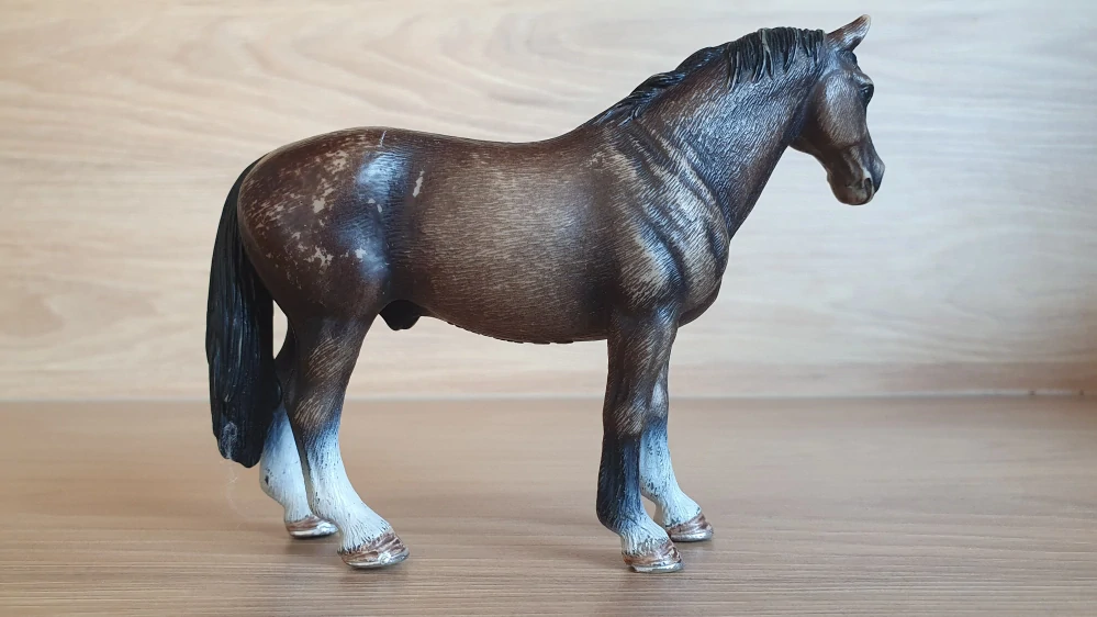 Hannoverský hřebec 13649, model 2008