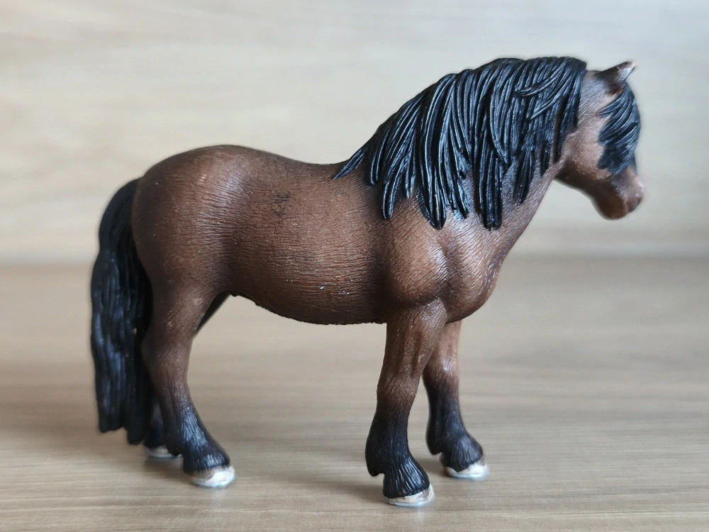 Dartmoorský poník 13651, model 2008