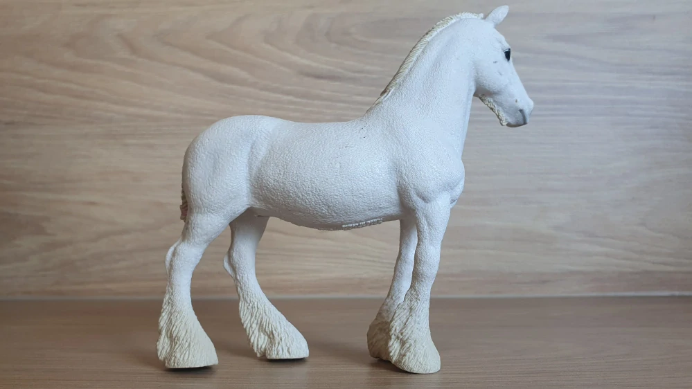 Klisna shirská 13735, model 2012