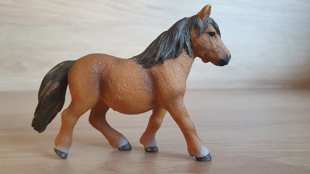 Shetlandský poník 13750, model 2013