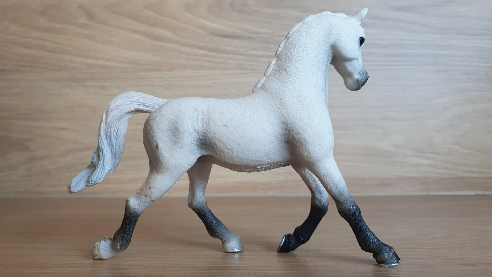 Bílá arabská klisna 13761, model 2013