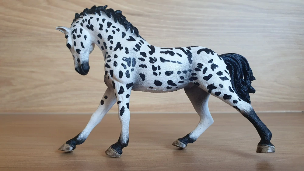 Knabstrupperská klisna 13769, model 2014