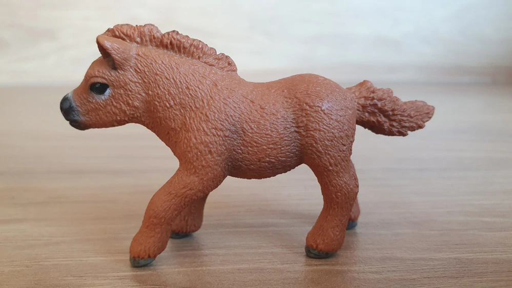 Shetlandský poník 13777, model 2014