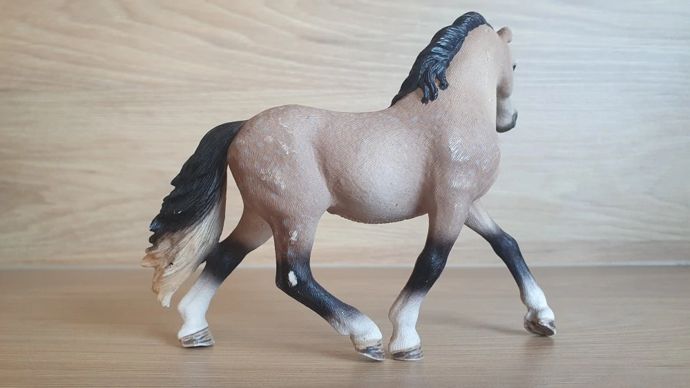 Andaluská klisna 13793, model 2014