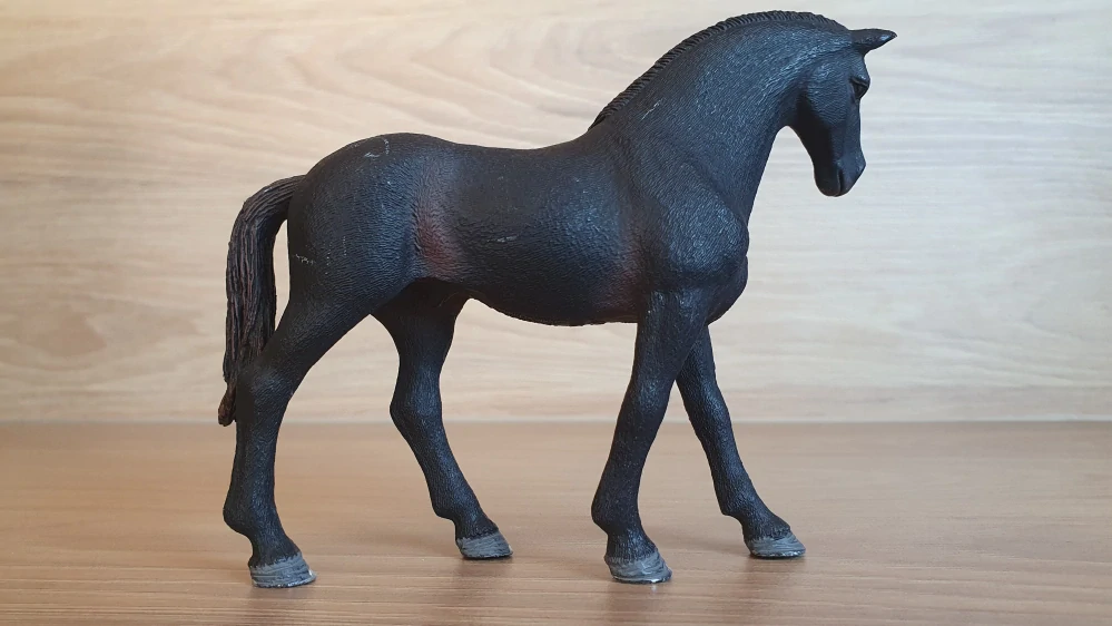 Anglický plnokrevník hřebec 13856, model 2017
