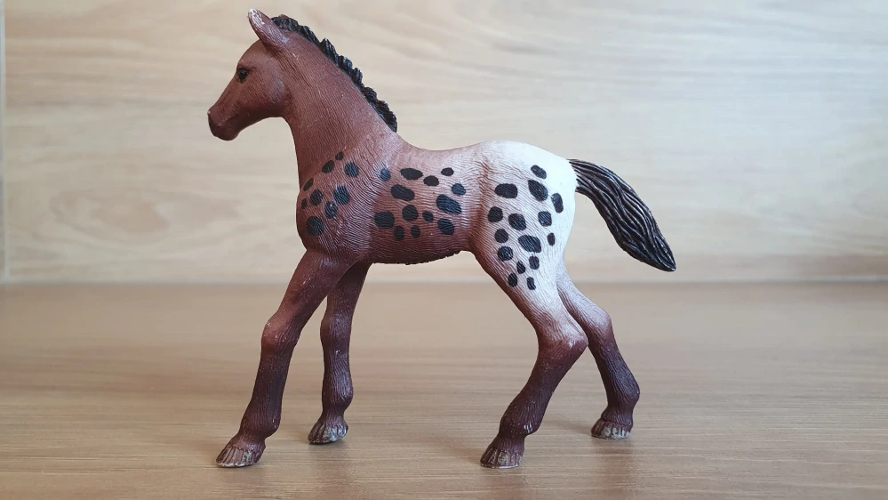 Appaloosa hříbě 13862, model 2017