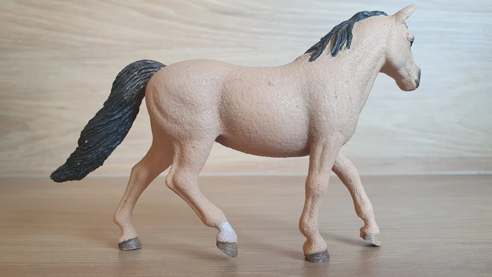 Connemarská pony klisna 13863, model 2017