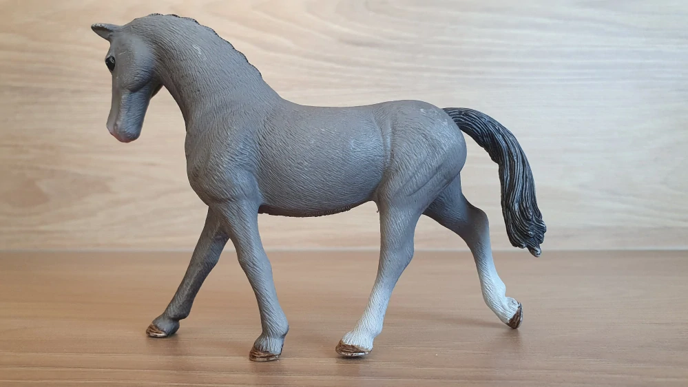 Trakhener klisna 13888, model 2018