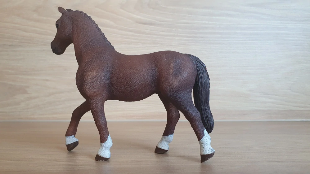 Quarter valach 42416, model 2017