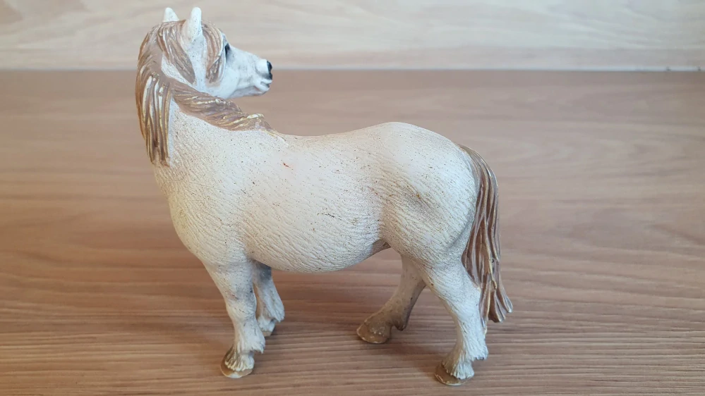 Camargská klisna  13609, model 2005