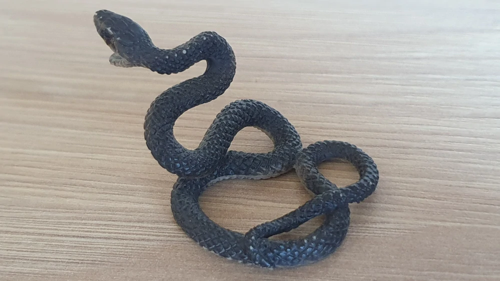 černá mamba ze setu 42258