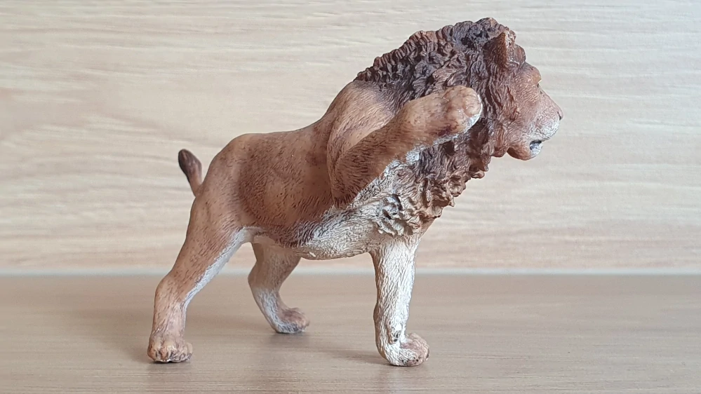 mladý lev  14374, model 2007