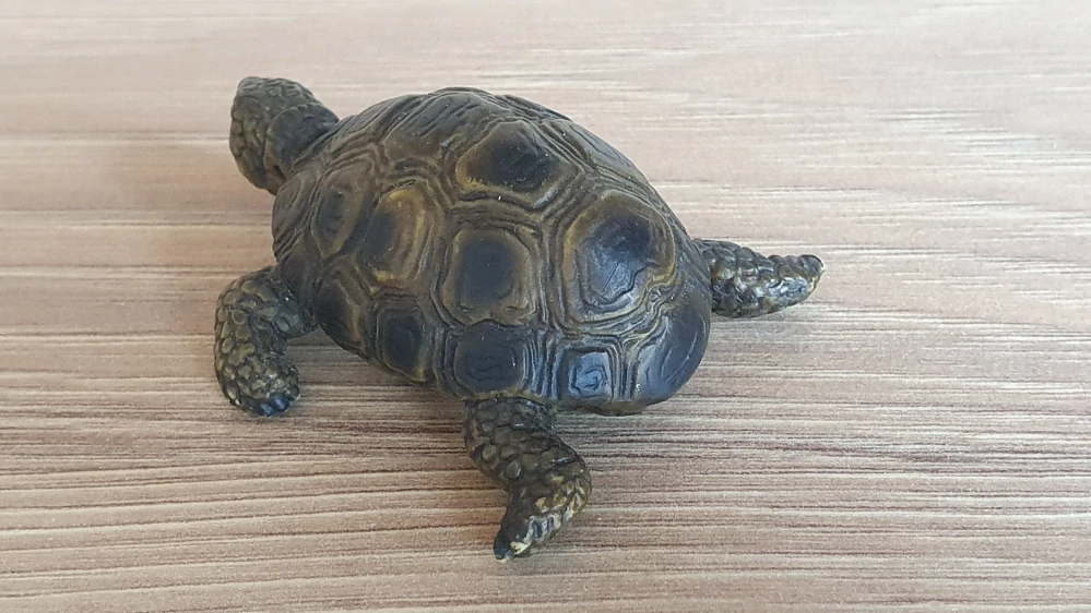 želva  14404, model 2002