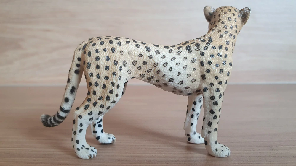 gepard  14614, model 2009