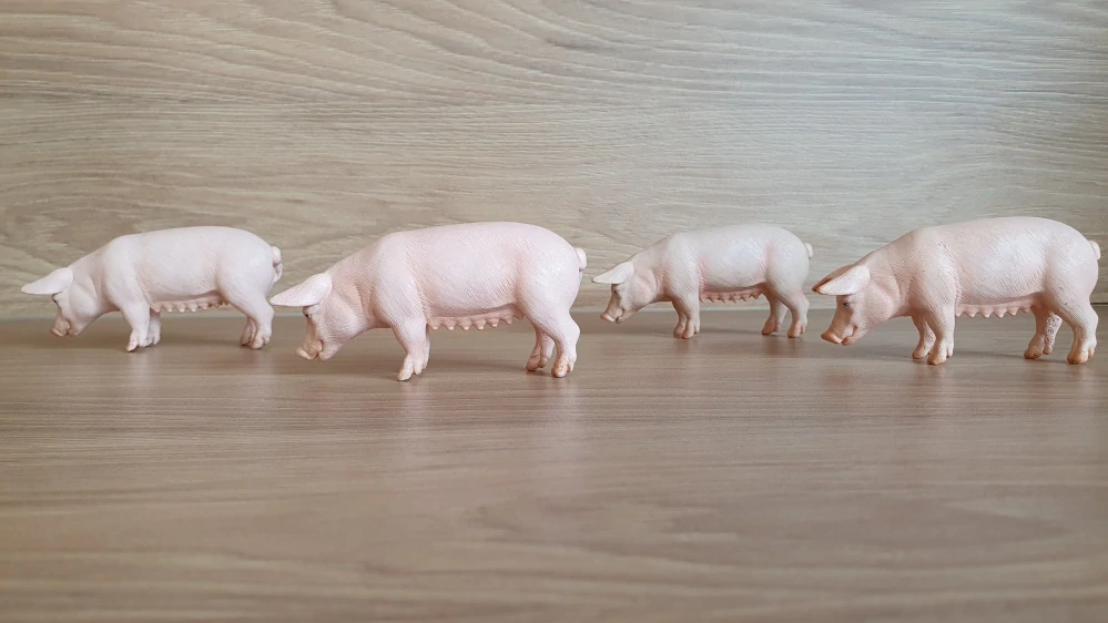 prasnice  13288, model 2003