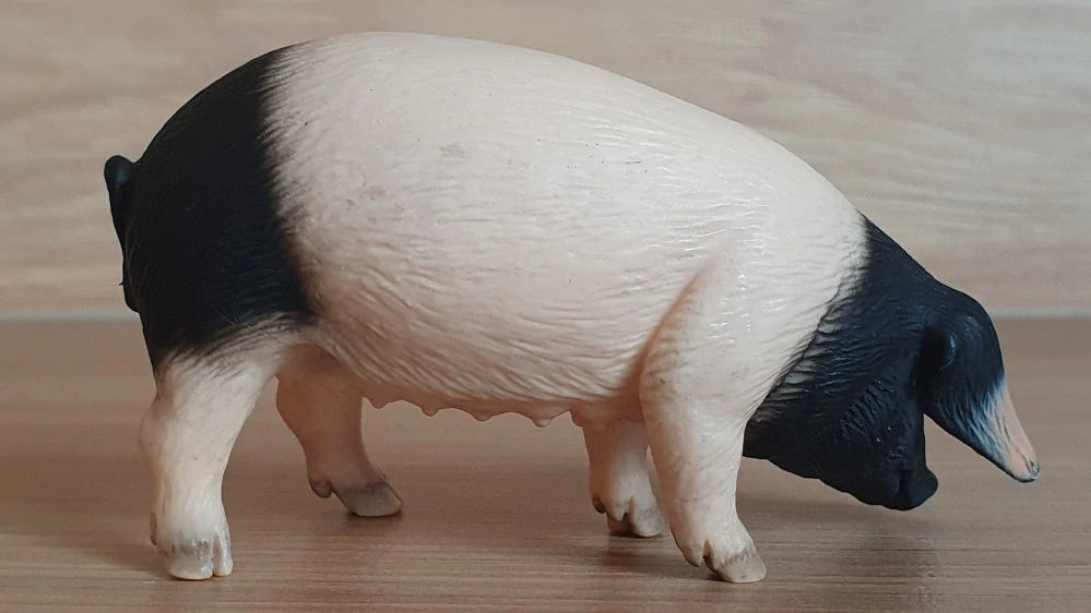 prasnice švábská 13612, model 2005