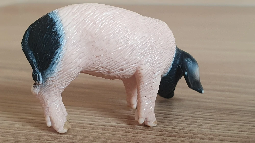 sele švábské  13635, model 2007