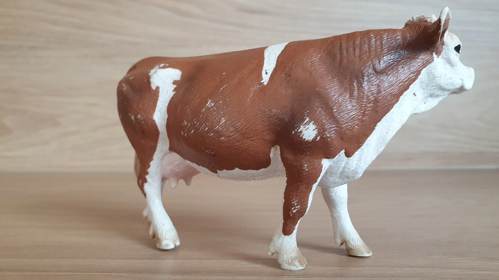 kráva Simmentálská  13641, model 2008