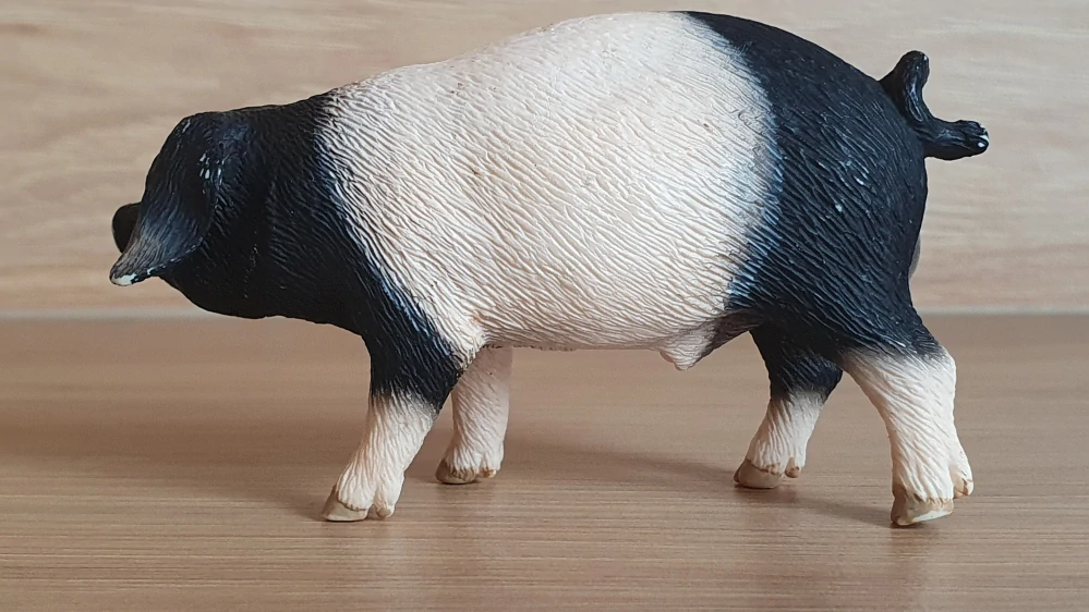 prase švábské 13643, model 2008