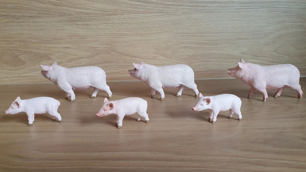 prasnice a sele  13782, 13783 model 2014