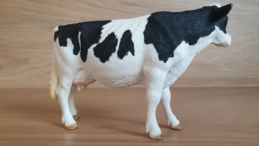 kráva holštýnská  13797, model 2015
