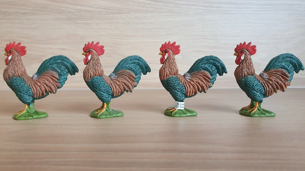 kohout  13825, model 2016