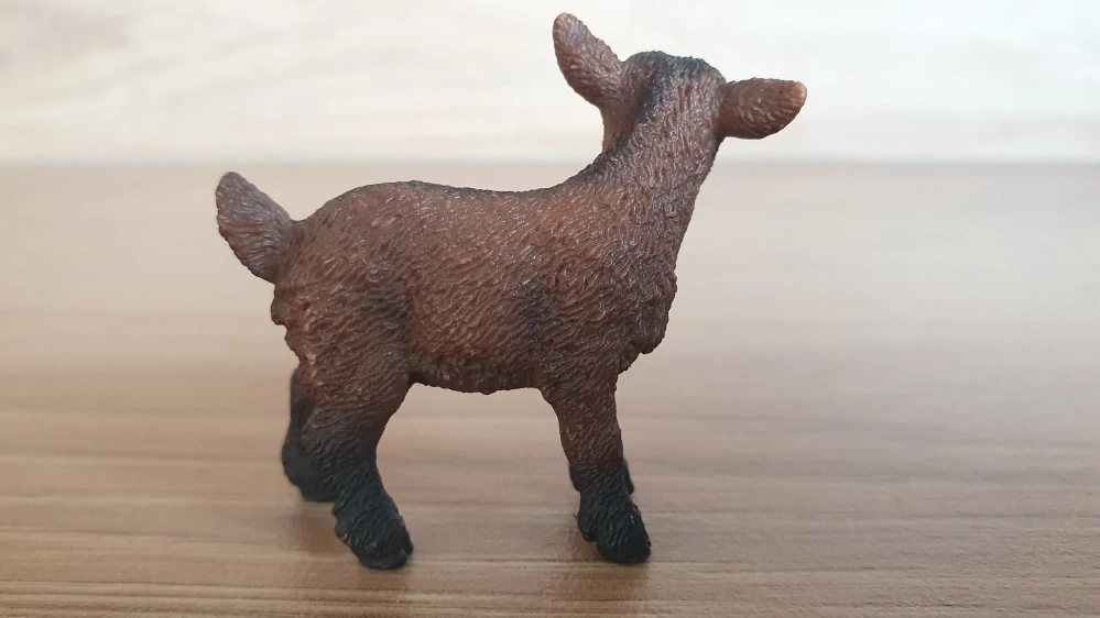 kůzle hnědé 13829, model 2016
