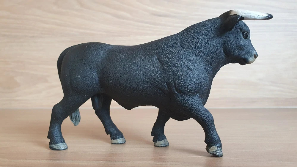 Černý býk 13875, model 2017
