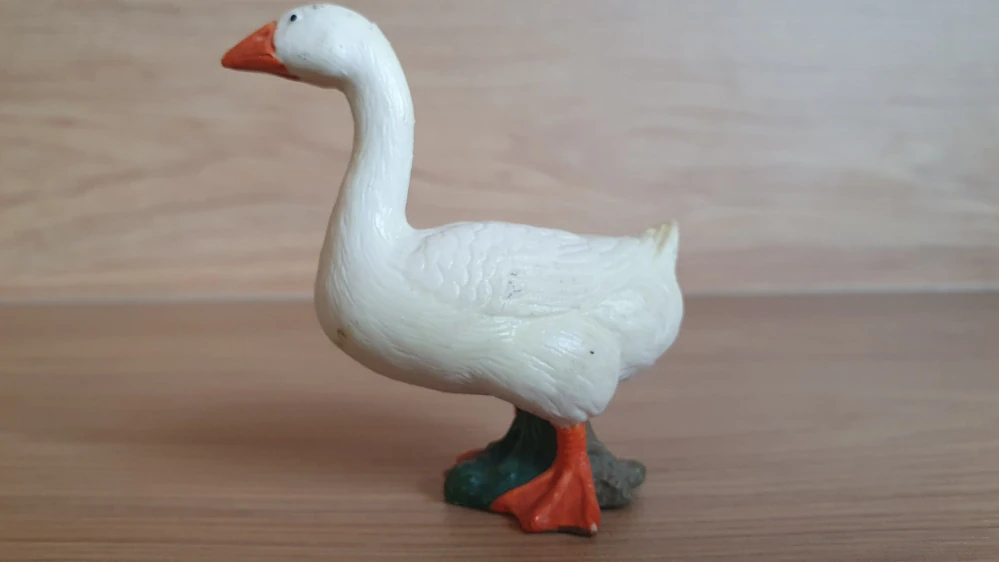 husa  13129, model 1998