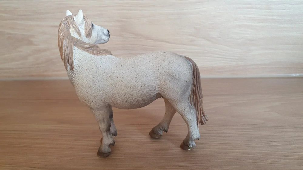 Camargue klisna 13609, model 2005