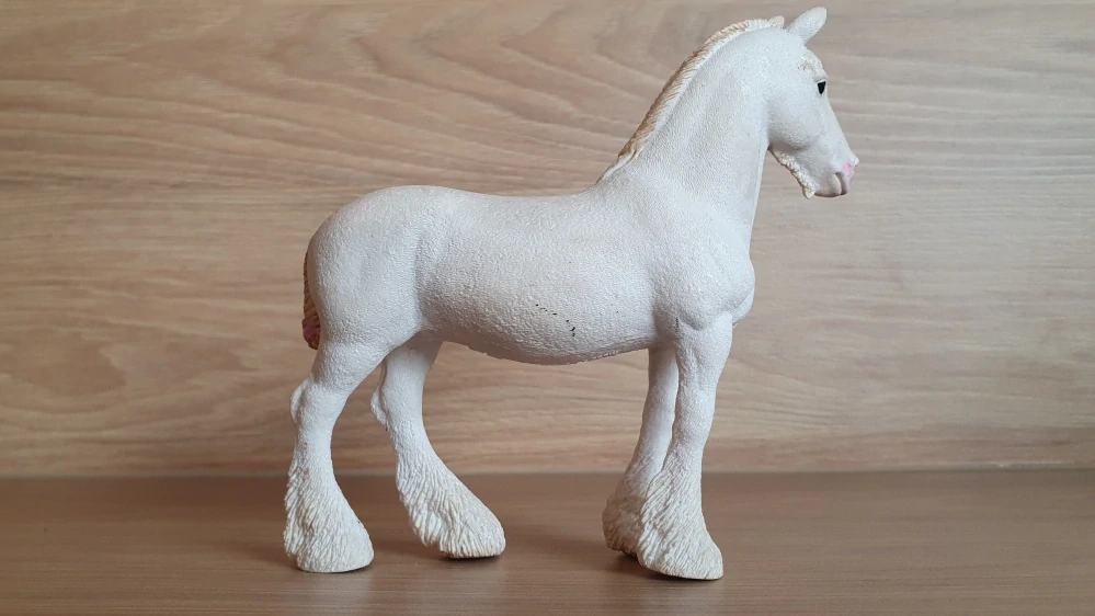 Klisna shirská 13735, model 2012