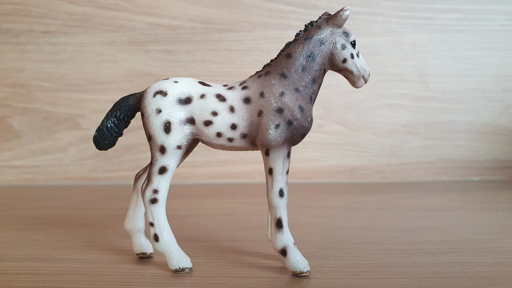 Knabstrupper hříbě 13760, model 2013