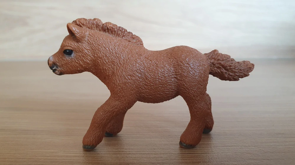 Shetlandský poník 13777, model 2014