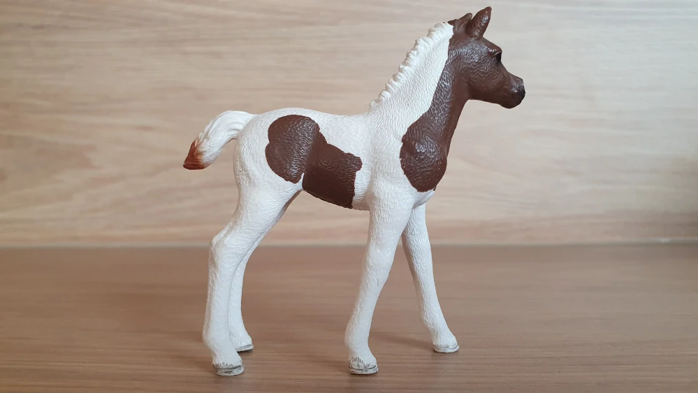 Pintabian hříbě 13839, model 2016
