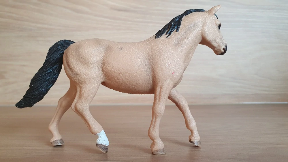 Connemarská pony klisna 13863, model 2017