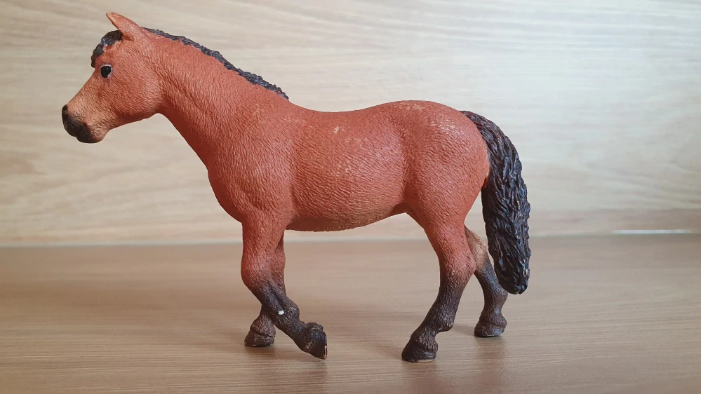 Dartmoorský poník  13873, model 2017