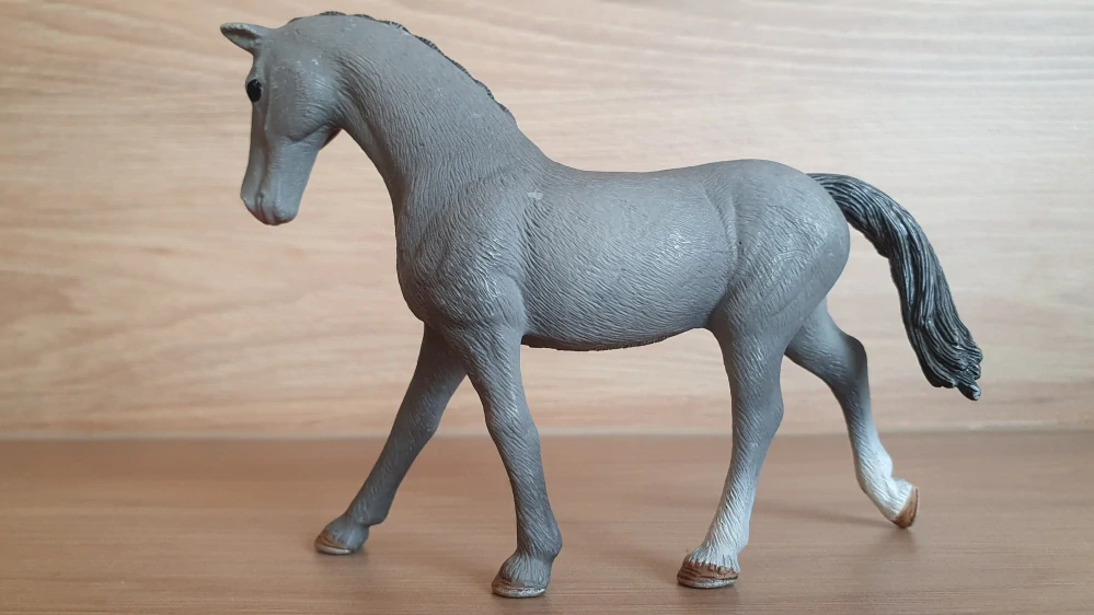 Trakehner klisna 13888, model 2018