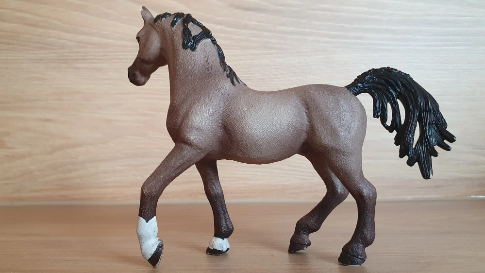 Arabský hřebec 13907, model 2015