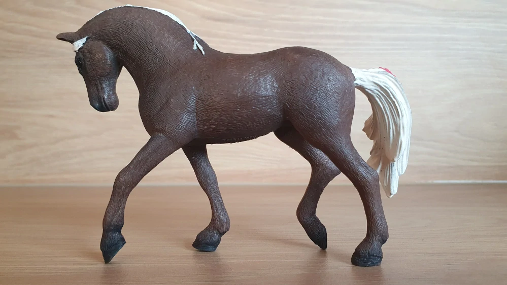 Klisna Rocky 42469, model 2018