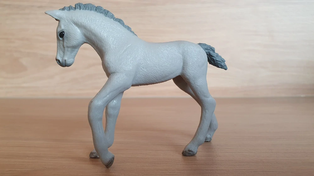 Trakehner hříbě 98269, model 2013