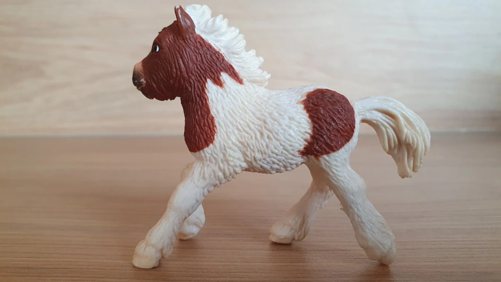 shetlandský poník 13608, model 2005