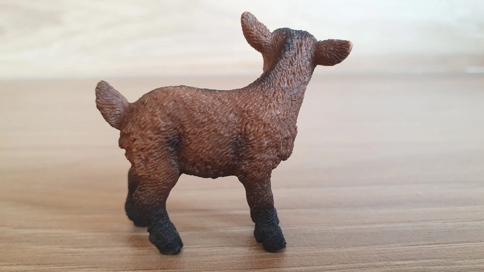 kůzle hnědé 13829, model 2016
