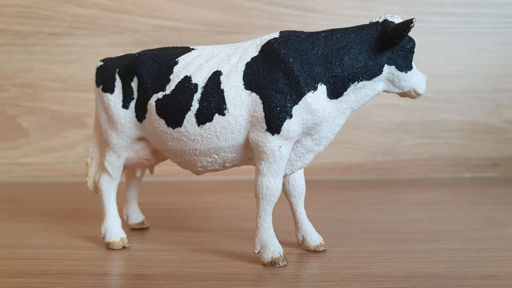 kráva holštýnská 13797, model 2015